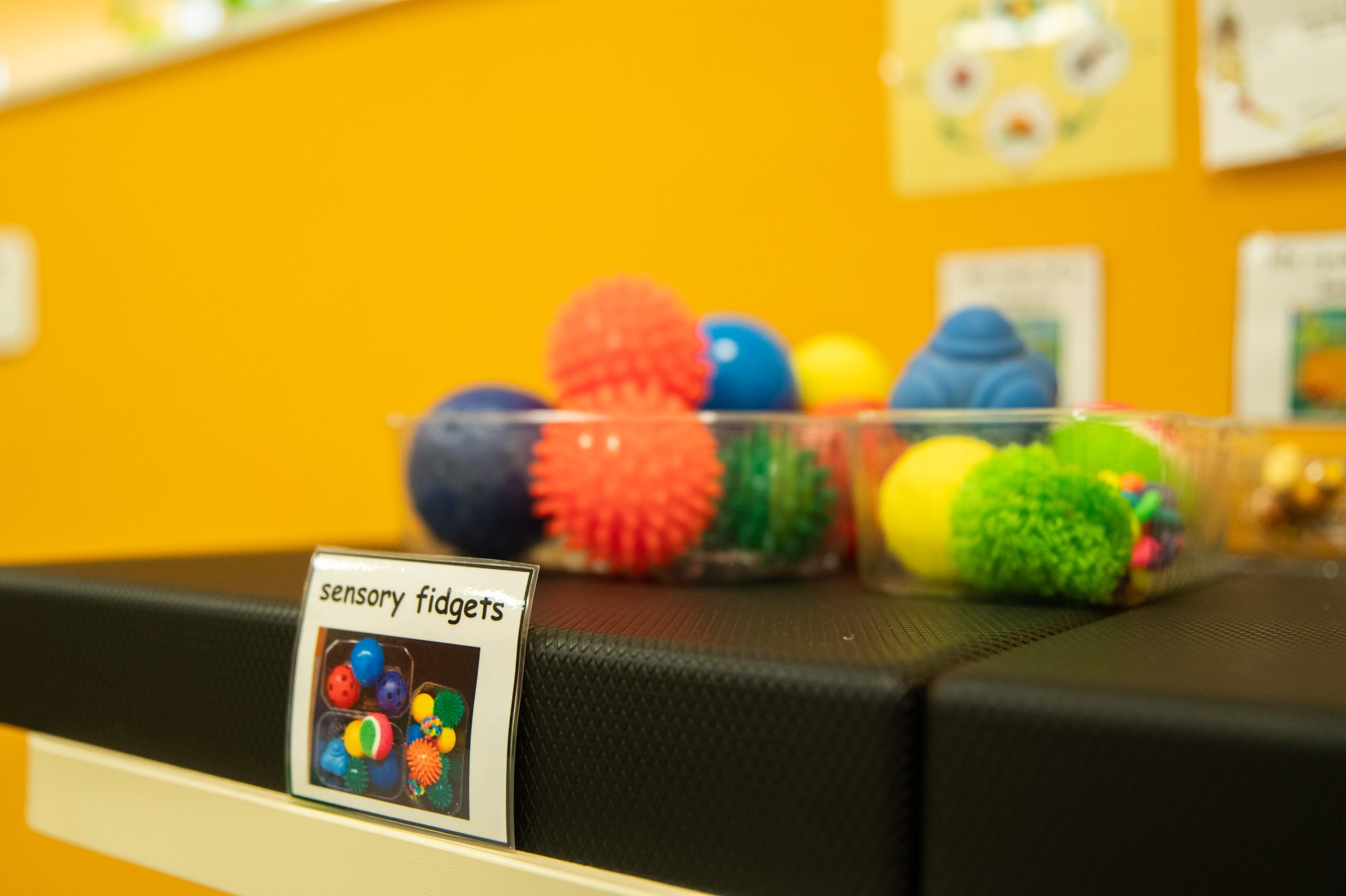 Multisensory Room at St. Thomas More College